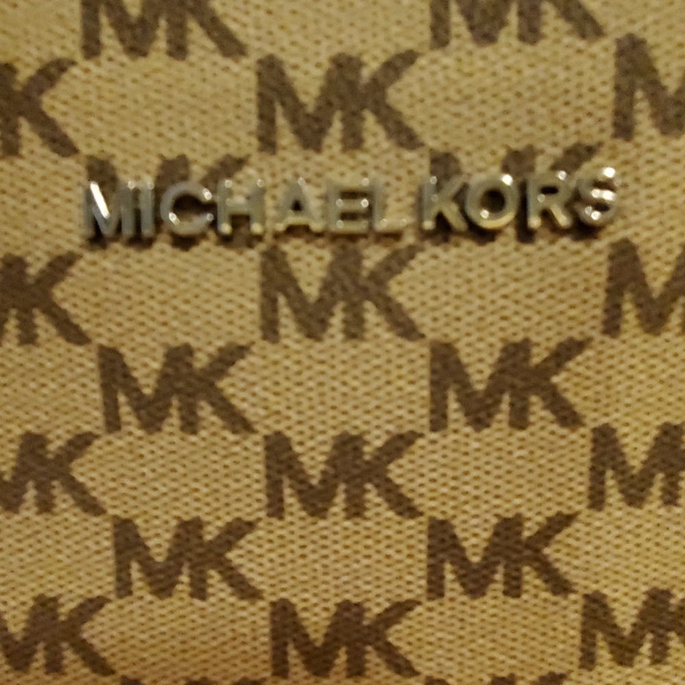 Travel Bag or Purse